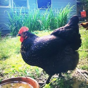 Meet your Posher, Michelle